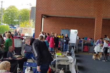 Lingen_2018__07.jpg