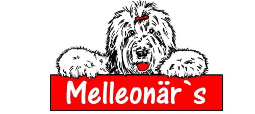 Banner Melleonär's
